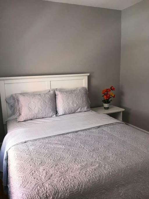 Bright, Clean, Private. In The Heart Of Downtown! Parking, Wi-Fi And Netflix Included Apartment ออตตาวา ภายนอก รูปภาพ